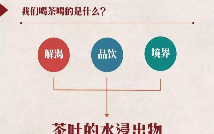 普洱茶茶水分离是有水味吗,观察茶叶在水中的变化 普洱茶茶水分离是有水味吗,观察茶叶在水中的变化