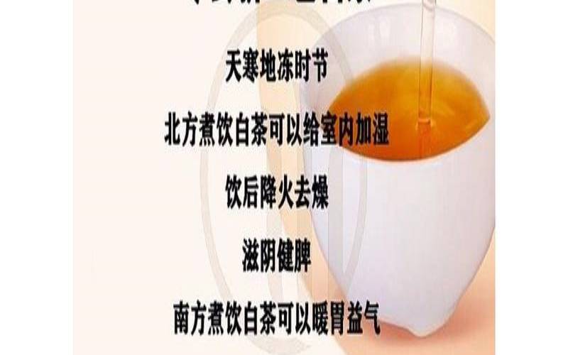白茶什么季节的白茶最好,白茶啥时候喝最好