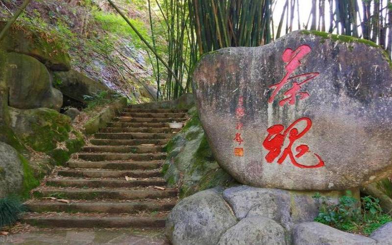 唐宋茶文化有什么区别,武夷山著名的茶企业 唐宋茶文化有什么区别,武夷山著名的茶企业
