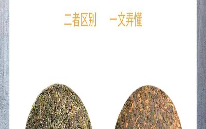 普洱茶区产什么茶,普洱生茶为什么比熟茶贵呢