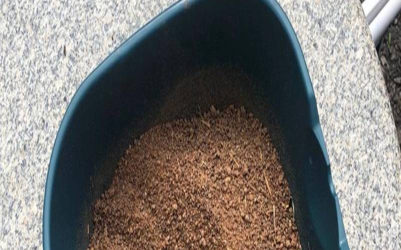 茶籽饼洗头有什么功效作用,同房干涩可以用茶油擦吗 茶籽饼洗头有什么功效作用,同房干涩可以用茶油擦吗