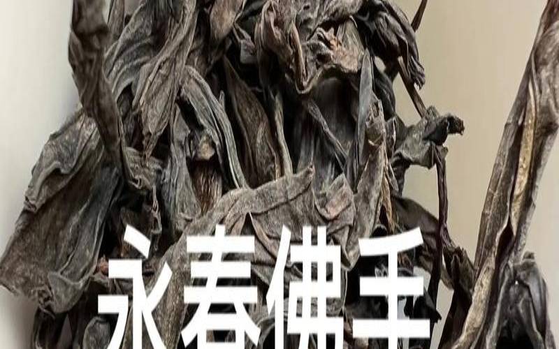 永春佛手茶属于什么茶,永春佛手怎么泡 永春佛手茶属于什么茶,永春佛手怎么泡
