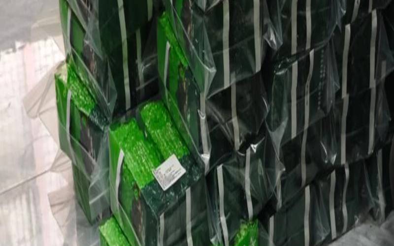 一斤鲜茶叶多少钱一斤,100斤鲜叶炒出来多少茶叶 一斤鲜茶叶多少钱一斤,100斤鲜叶炒出来多少茶叶