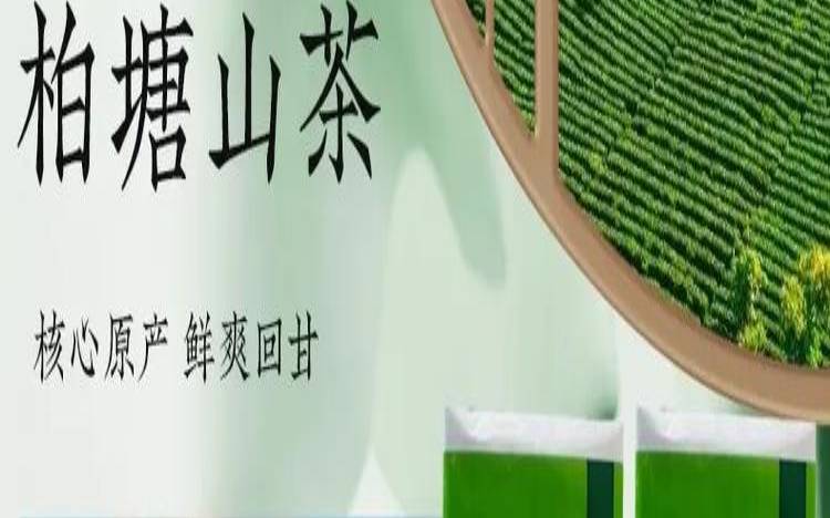 南方有哪些名茶,广东茶叶有哪些品种 南方有哪些名茶,广东茶叶有哪些品种