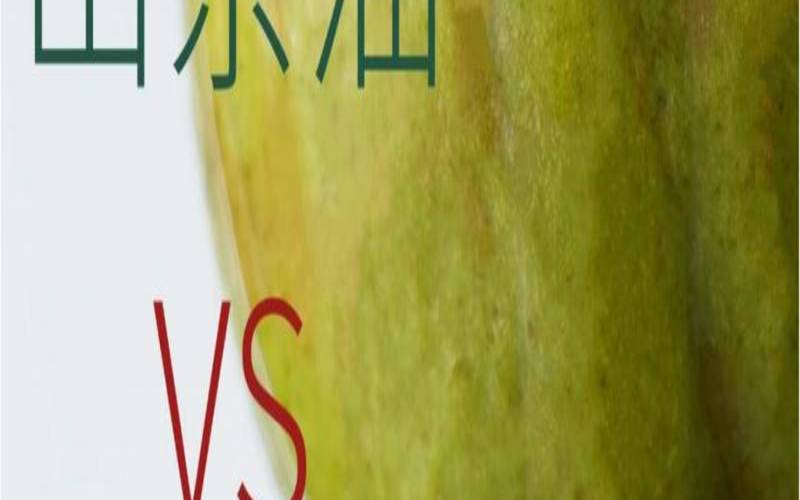 茶油是哪里出产的,茶油和橄榄油哪个好 茶油是哪里出产的,茶油和橄榄油哪个好