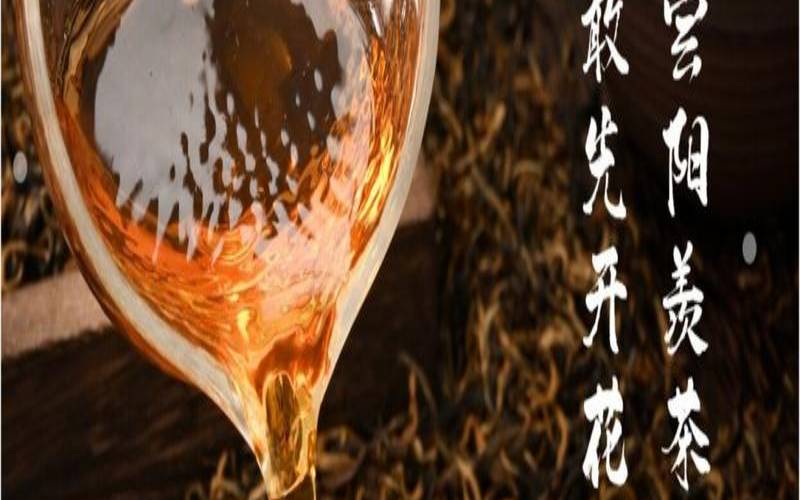 宜兴红茶是什么茶种,宜兴红茶需要洗茶吗
