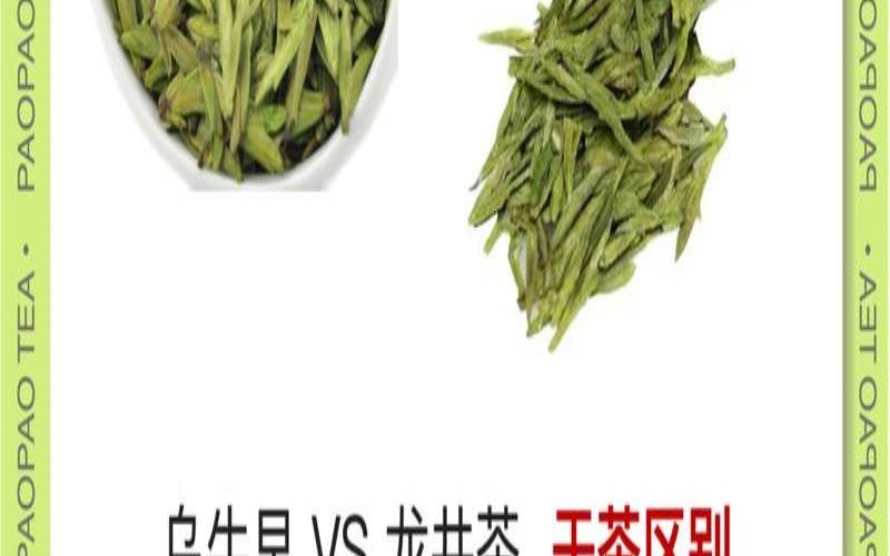 乌牛早属于龙井茶吗,乌龙茶和龙井茶哪个好 乌牛早属于龙井茶吗,乌龙茶和龙井茶哪个好