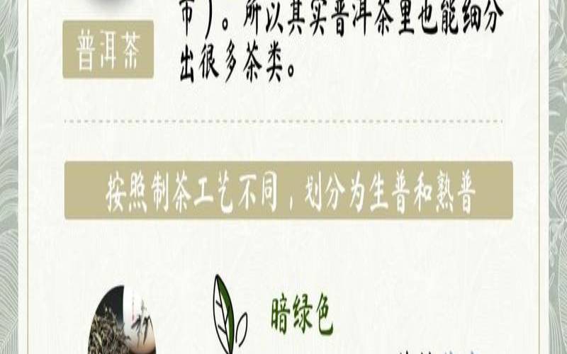 普洱茶城时光,普洱熟茶不适用人群