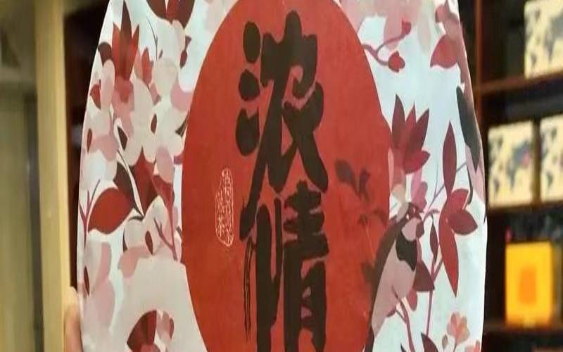 古树茶是好茶吗,雨林古树茶怎么样