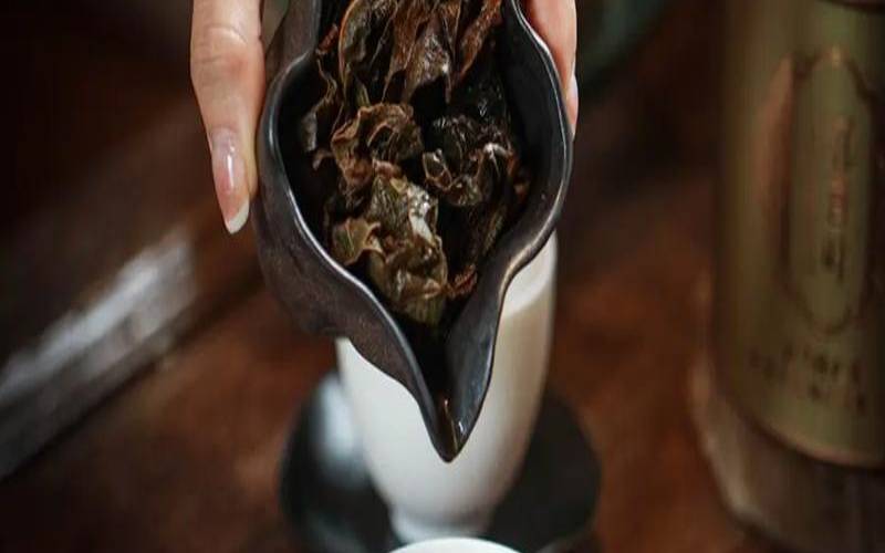 普洱茶陈香是一种什么味道,沉香茶哪些人不能喝