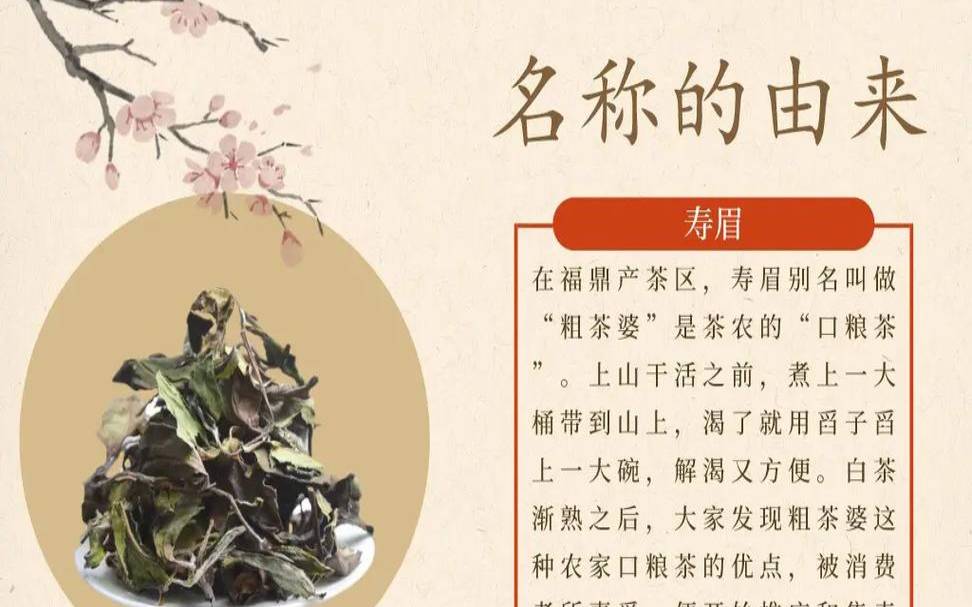 寿眉是白茶里最差的吗,寿眉白茶简介 寿眉是白茶里最差的吗,寿眉白茶简介