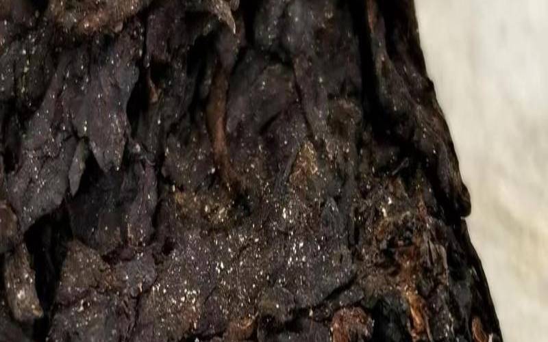 普洱茶发霉了还能喝吗百度,普洱茶发霉了怎么处理