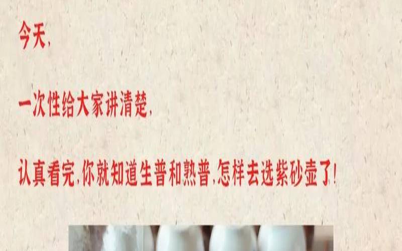 普洱生茶用什么紫砂壶最好,紫砂壶可以泡普洱生茶吗