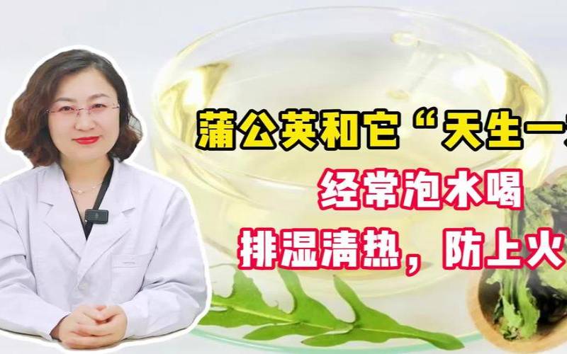 熬夜喝蒲公英水有什么好处,蒲公英巧治十种病
