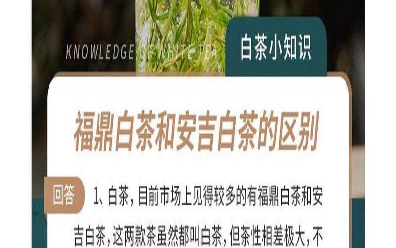 福鼎白茶与安吉白茶的区别,福建福鼎老白茶 福鼎白茶与安吉白茶的区别,福建福鼎老白茶