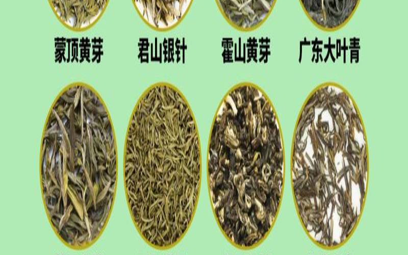 莫干黄芽功效与作用,莫干黄芽属于什么茶 莫干黄芽功效与作用,莫干黄芽属于什么茶