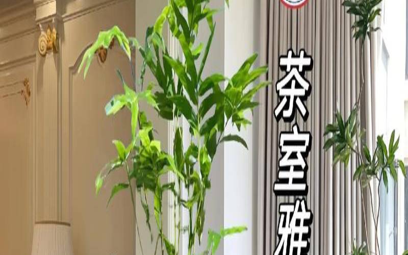 茶室盆景图片大全欣赏,室内盆景大全 茶室盆景图片大全欣赏,室内盆景大全