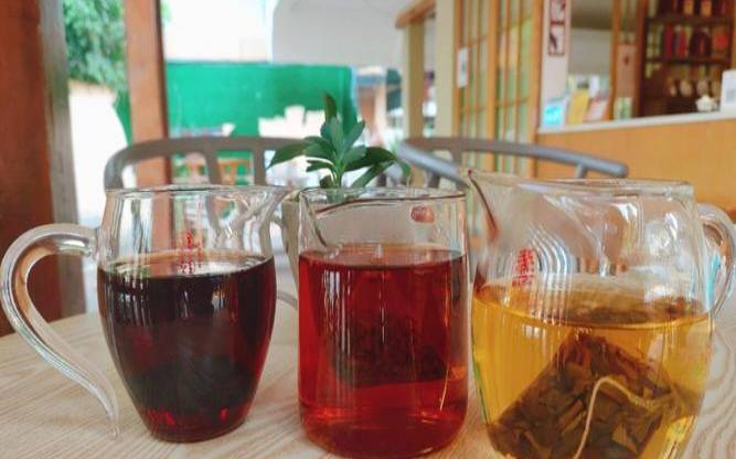 普洱茶为啥是红色的,普洱茶有红茶吗 普洱茶为啥是红色的,普洱茶有红茶吗
