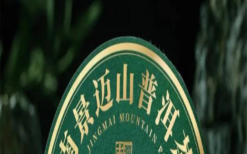 景迈古树茶的特点，景迈茶的特点和口感介绍