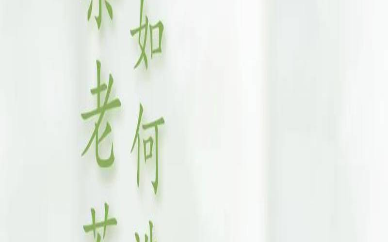 茶叶买老茶还是新茶，茶叶买老茶还是新茶好