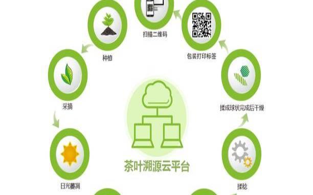 茶叶追溯系统,普洱茶执行标准