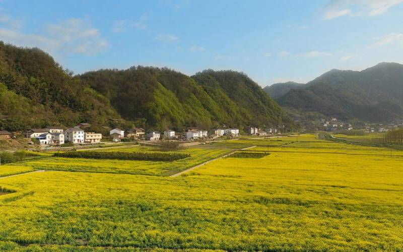 十堰市郧阳区五峰乡书记,五峰镇有几个村 十堰市郧阳区五峰乡书记,五峰镇有几个村