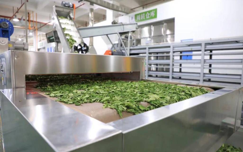 茶叶制作设备需要多少成本,茶叶加工设备