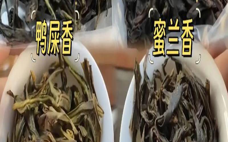 蜜兰香单枞的品质特征,蜜兰香是什么档次 蜜兰香单枞的品质特征,蜜兰香是什么档次