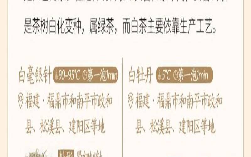 黄茶属于什么茶,白茶属于什么茶类
