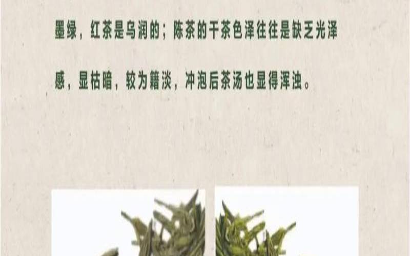 怎么辨别春茶和秋茶,如何辨别新茶与陈茶