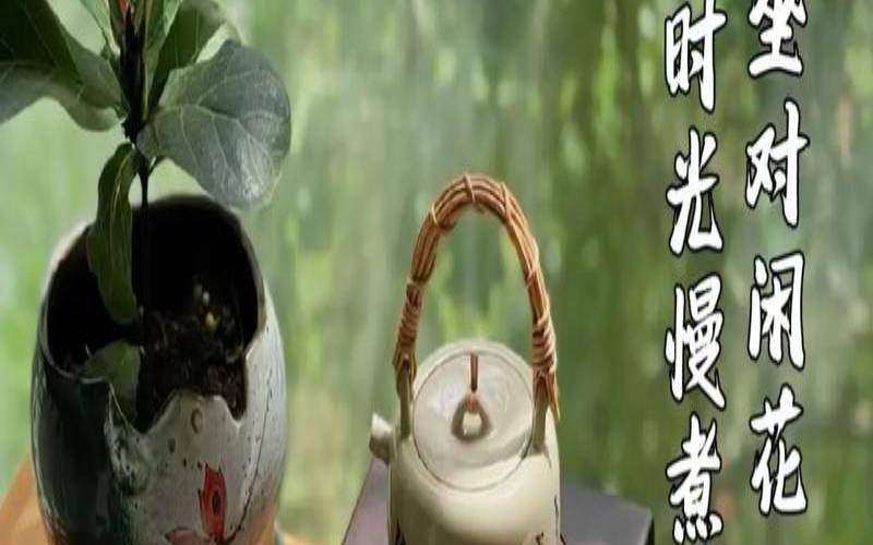 清如水淡如茶什么意思,人生如茶的理解