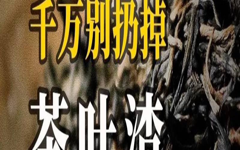 茶叶中药渣是什么垃圾,茶配药吃了会怎么样 茶叶中药渣是什么垃圾,茶配药吃了会怎么样