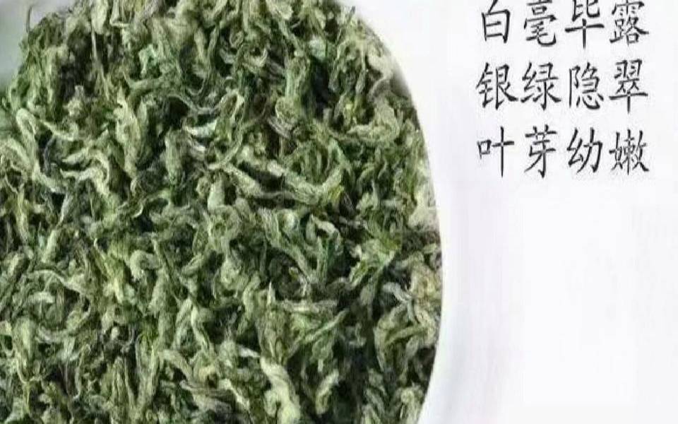 碧螺春茶叶真假辨别,碧螺春鉴别的简单方法