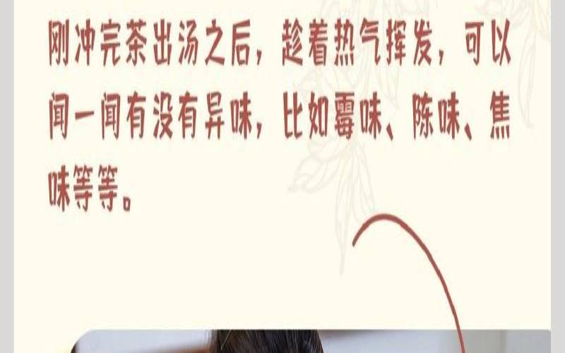 怎么闻茶香，怎么闻茶叶的香气