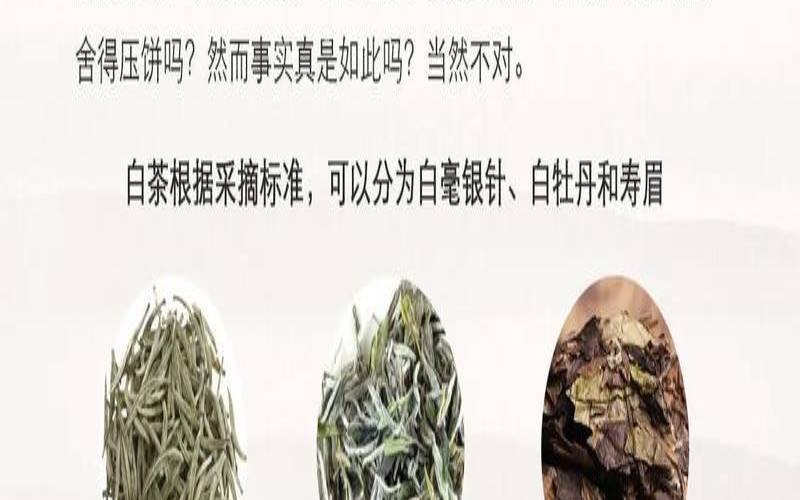 水仙白茶与福鼎白茶区别,乌龙茶是白茶吗