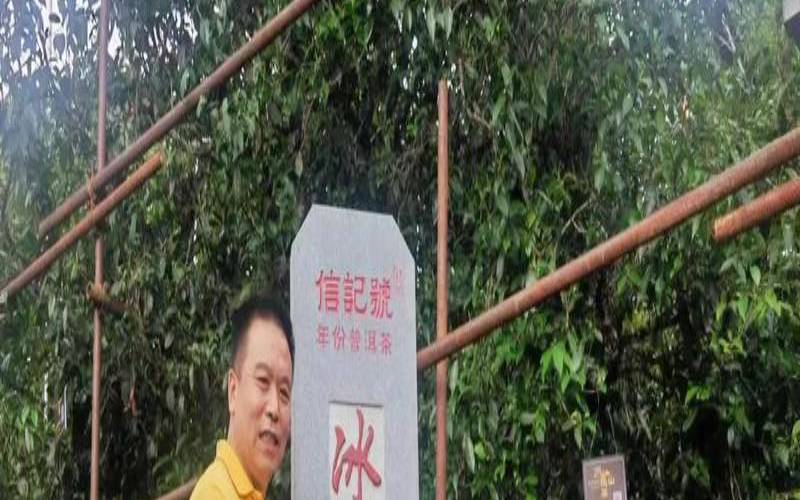普洱哪个产区的质量最好,云南普洱有什么好玩的地方