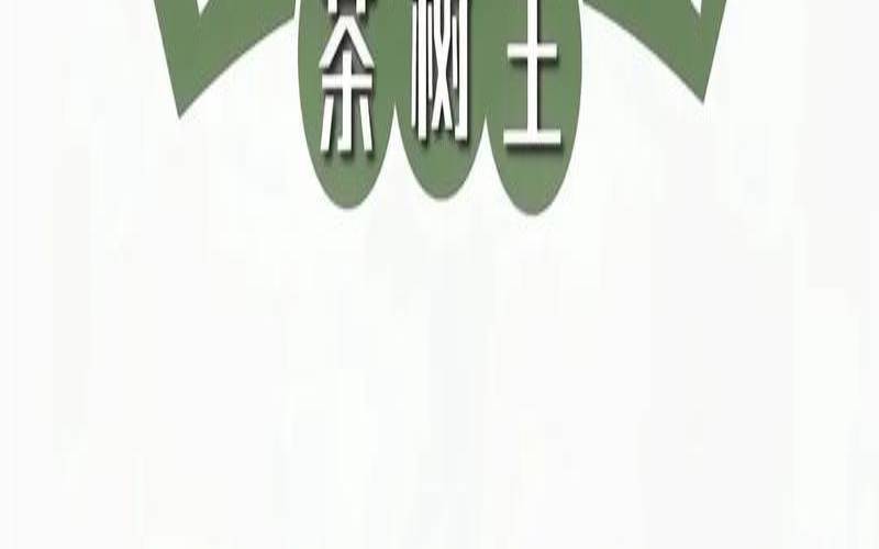 云南的普洱树王在哪,茶树王普洱茶