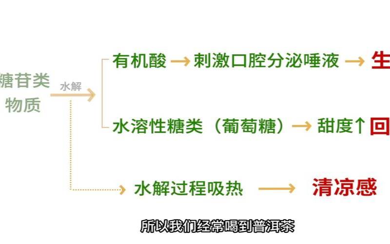 普洱茶生津，普洱茶生津原因