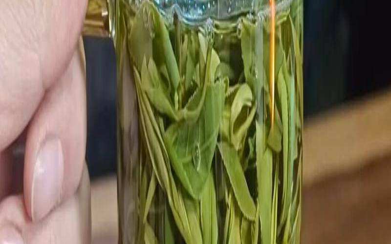 安吉白茶需要泡多长时间,金骏眉用不用洗茶 安吉白茶需要泡多长时间,金骏眉用不用洗茶