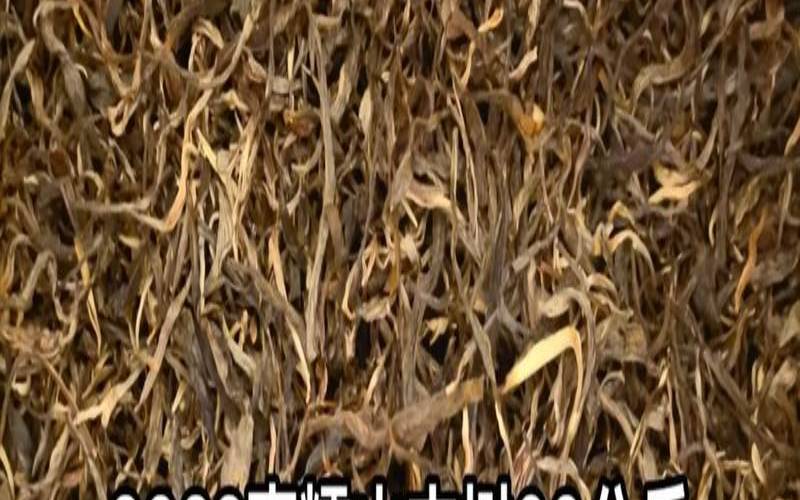 古树茶怎么定义,南糯山古树茶