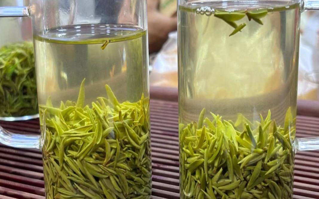 2021年的明前茶上市了吗,明前茶会过期吗