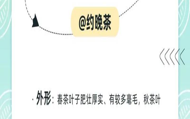 春茶跟绿茶的区别,秋茶和春茶有什么哪种好 春茶跟绿茶的区别,秋茶和春茶有什么哪种好