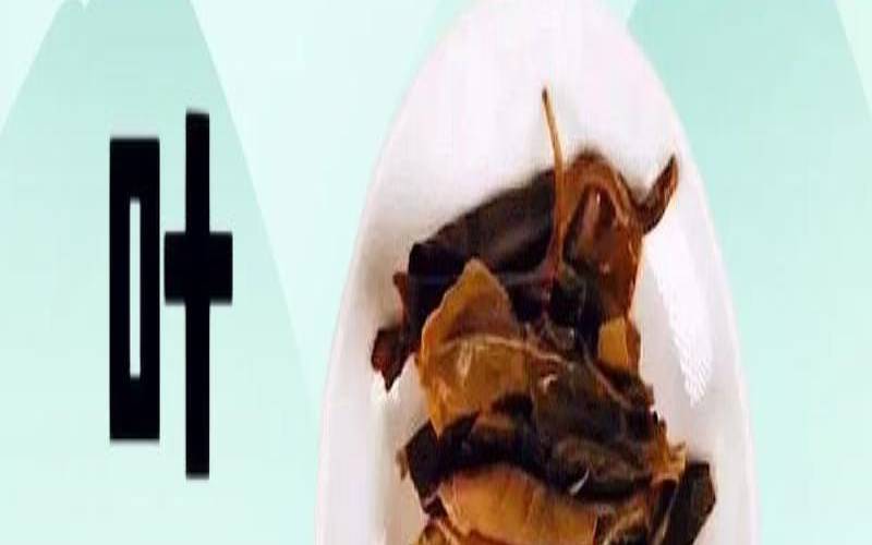 茶叶叶底碎是什么原因,茶叶泡水后沉底算好茶吗 茶叶叶底碎是什么原因,茶叶泡水后沉底算好茶吗