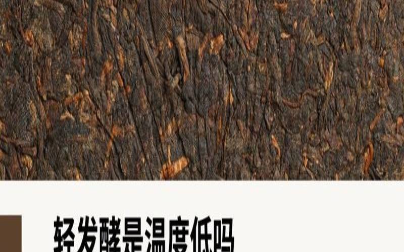 轻发酵熟茶有哪些,熟茶发酵温度和湿度