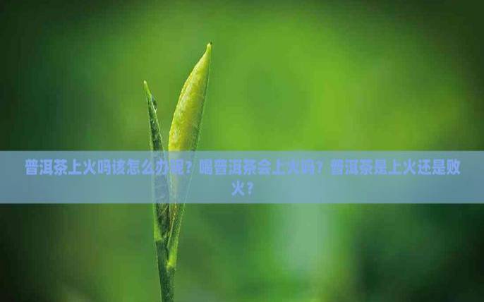 喝普洱上火还是败火,喝普洱茶上火是什么原因