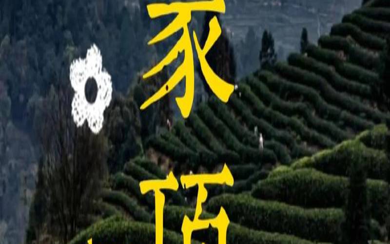 茶底的世界寓意,世界茶源地在什么地方