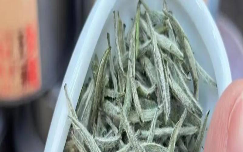 怎么评价白毫银针,十年的白毫银针口感 怎么评价白毫银针,十年的白毫银针口感