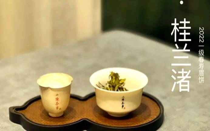 白茶饼为何泡不开盖,白茶饼可以直接泡喝吗 白茶饼为何泡不开盖,白茶饼可以直接泡喝吗