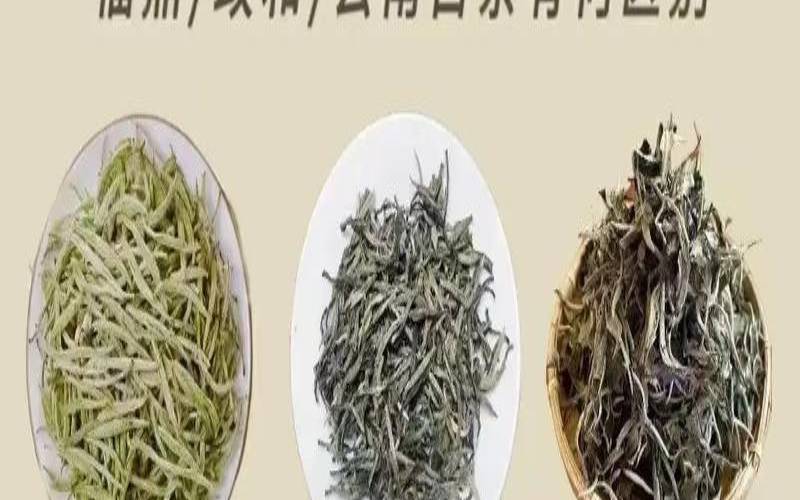 云南白茶三道茶是哪三道,云南白茶的功效与作用