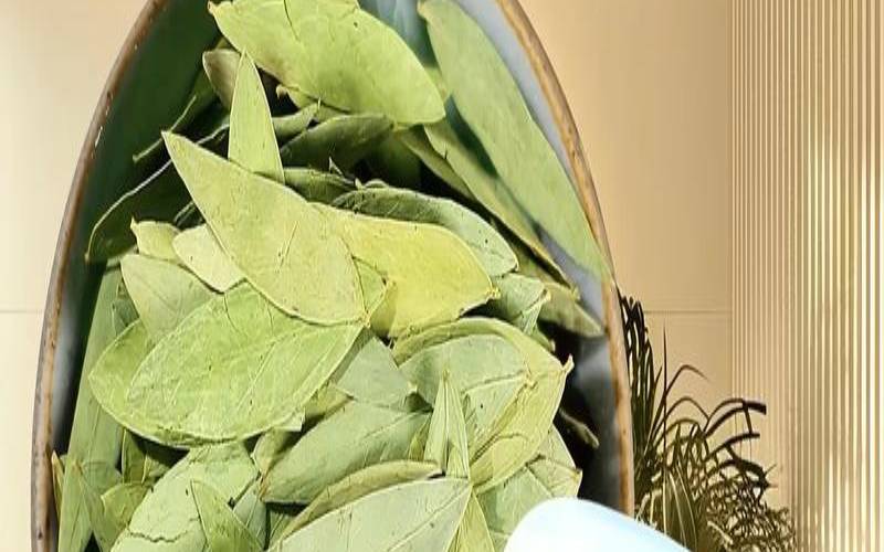 茶包的历史,茶包的历史起源 茶包的历史,茶包的历史起源